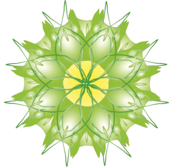Naturheilpraxis Murer GmbH