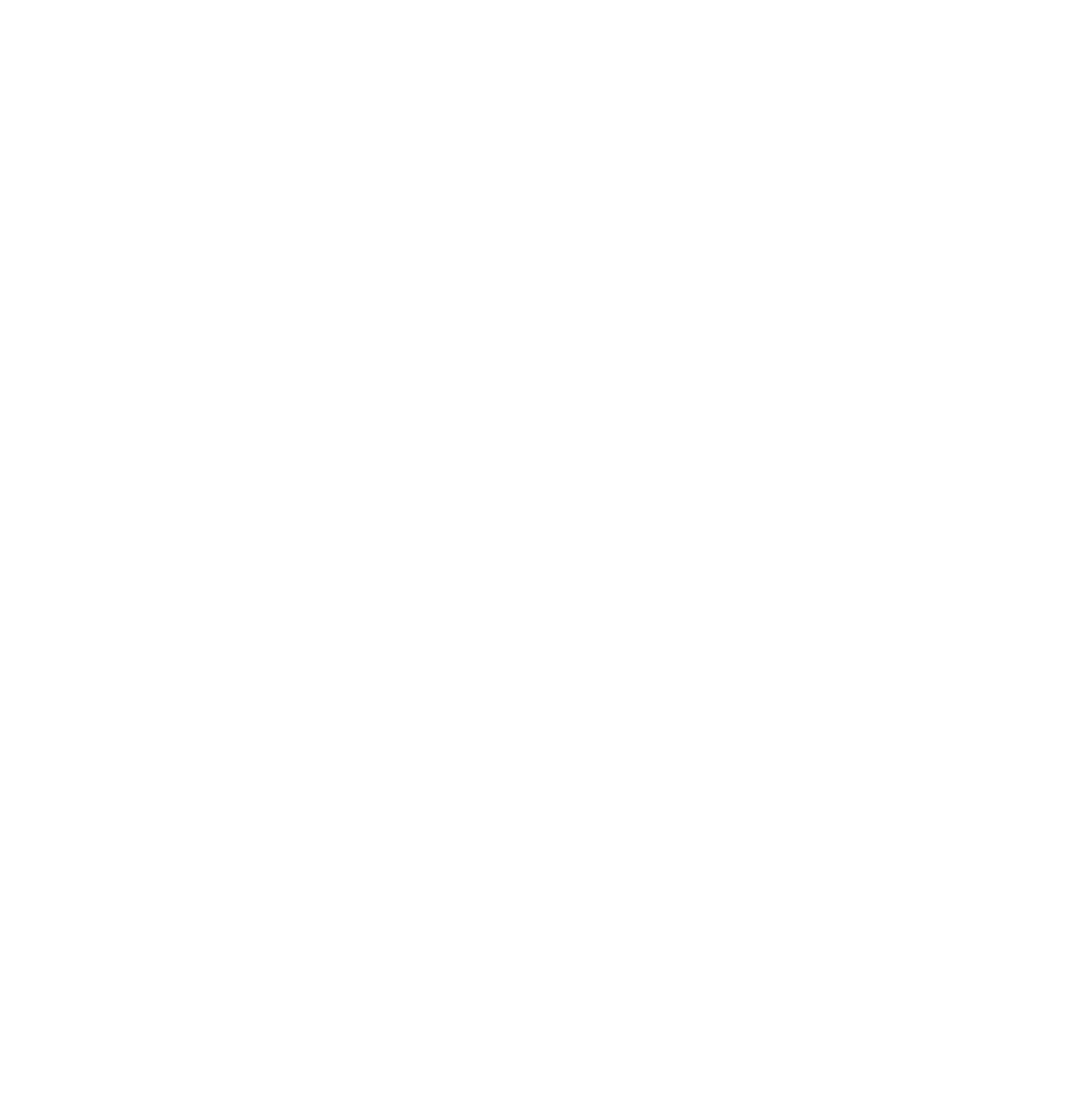 Elektro Brühlmann GmbH
