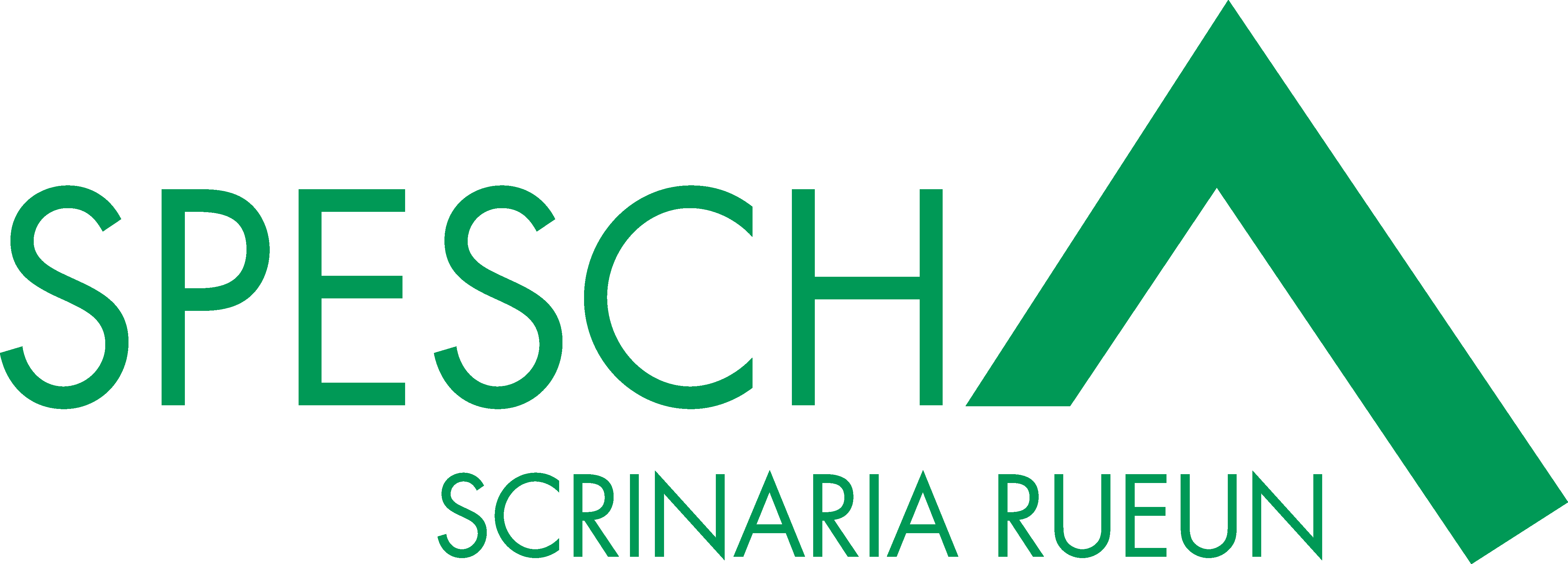 Schreinerei Spescha AG