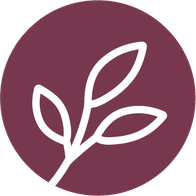 HOLZZWEIG Schweiz GmbH