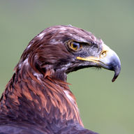 Naturpix GmbH